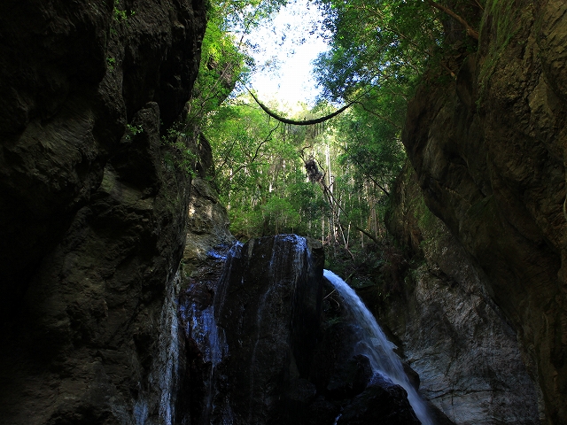 中津渓谷　雨竜の滝