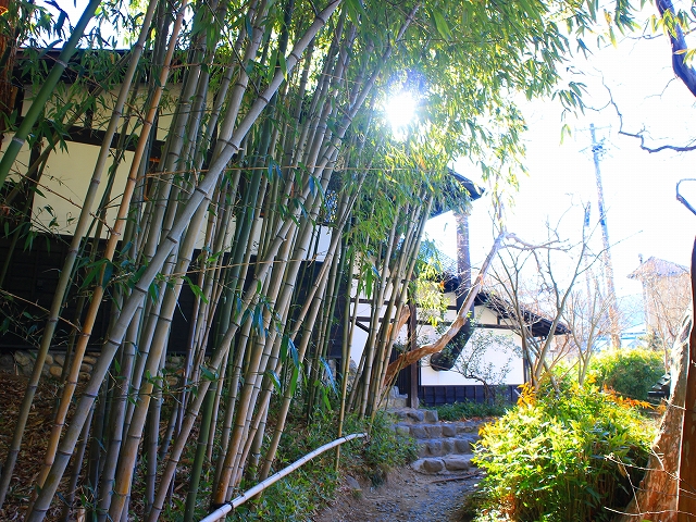 浅間温泉　枇杷の湯の竹林