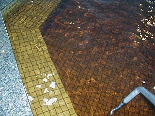 かすかべ湯元温泉のプールゾーン