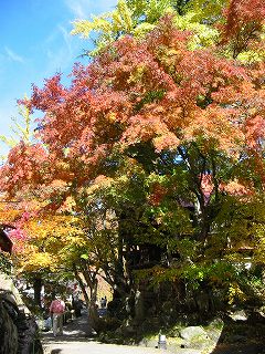 宝川温泉の紅葉