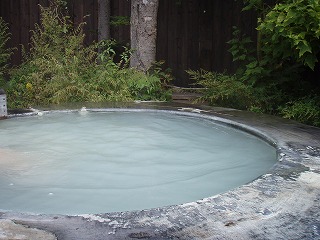 奥山田温泉レッドウッドインの濁り湯