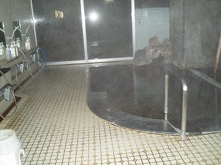 旅館新飯坂の別館内風呂(女湯)