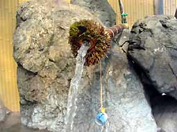 栗山温泉　四季の湯の湯口と飲泉コップ